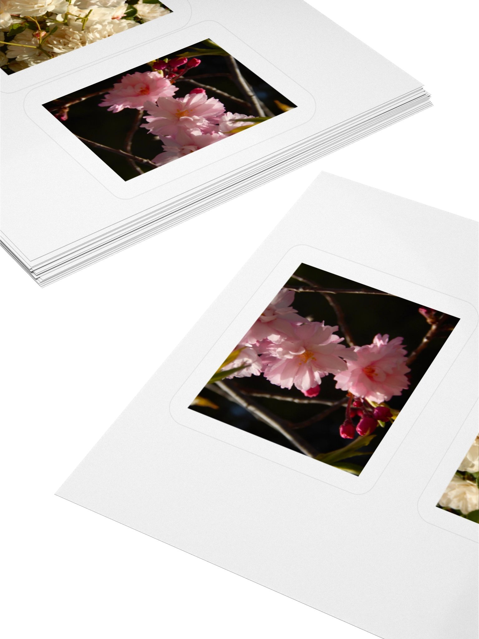 Flowers - Sticker Sheet product image (7)