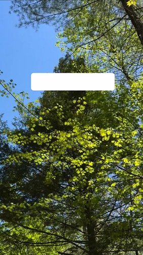 Happy Friday. It’s a great day for a walk.