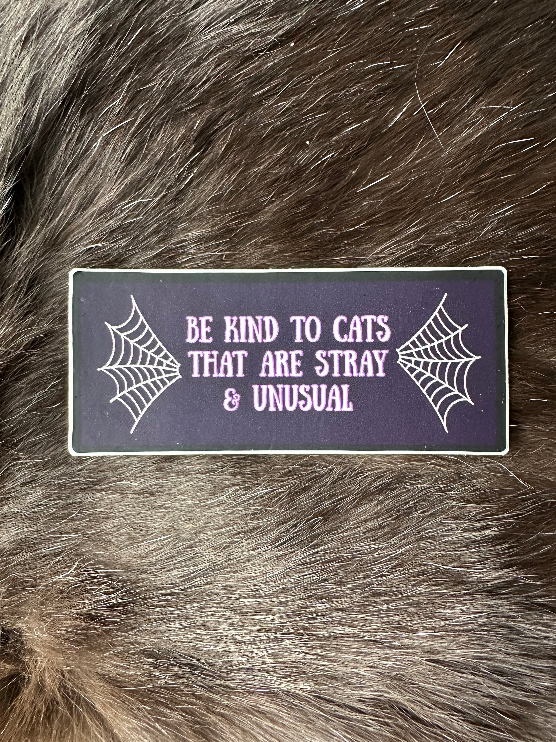 Stray and Unusual sticker product image (1)