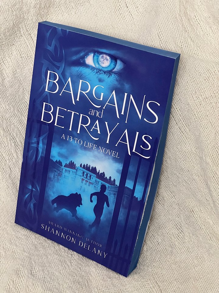 BARGAINS AND BETRAYALS Special Edition with Powder Blue Page Edges product image (2)