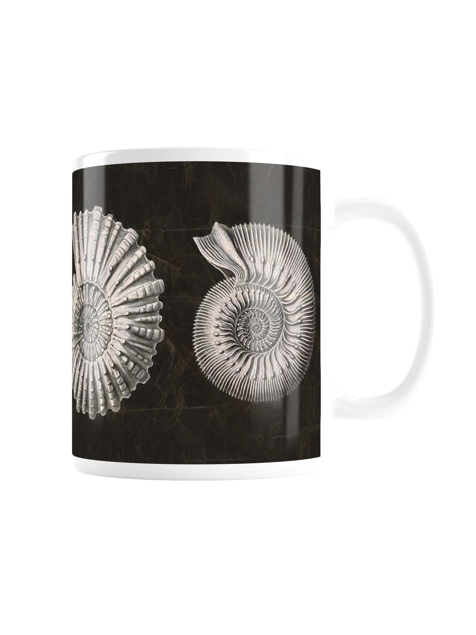 Ammonites – Haeckel Mug product image (3)