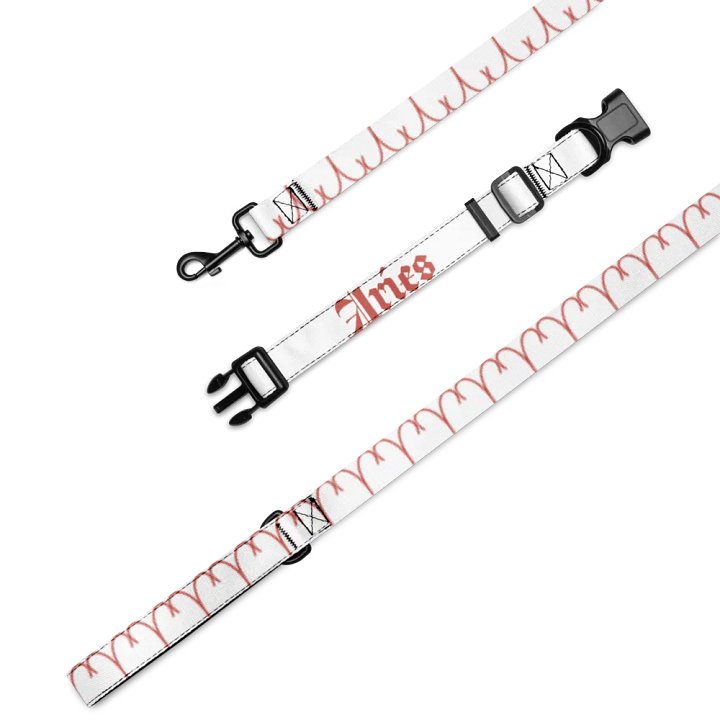 Aries Red Pet Collar & Leash Set product image (4)