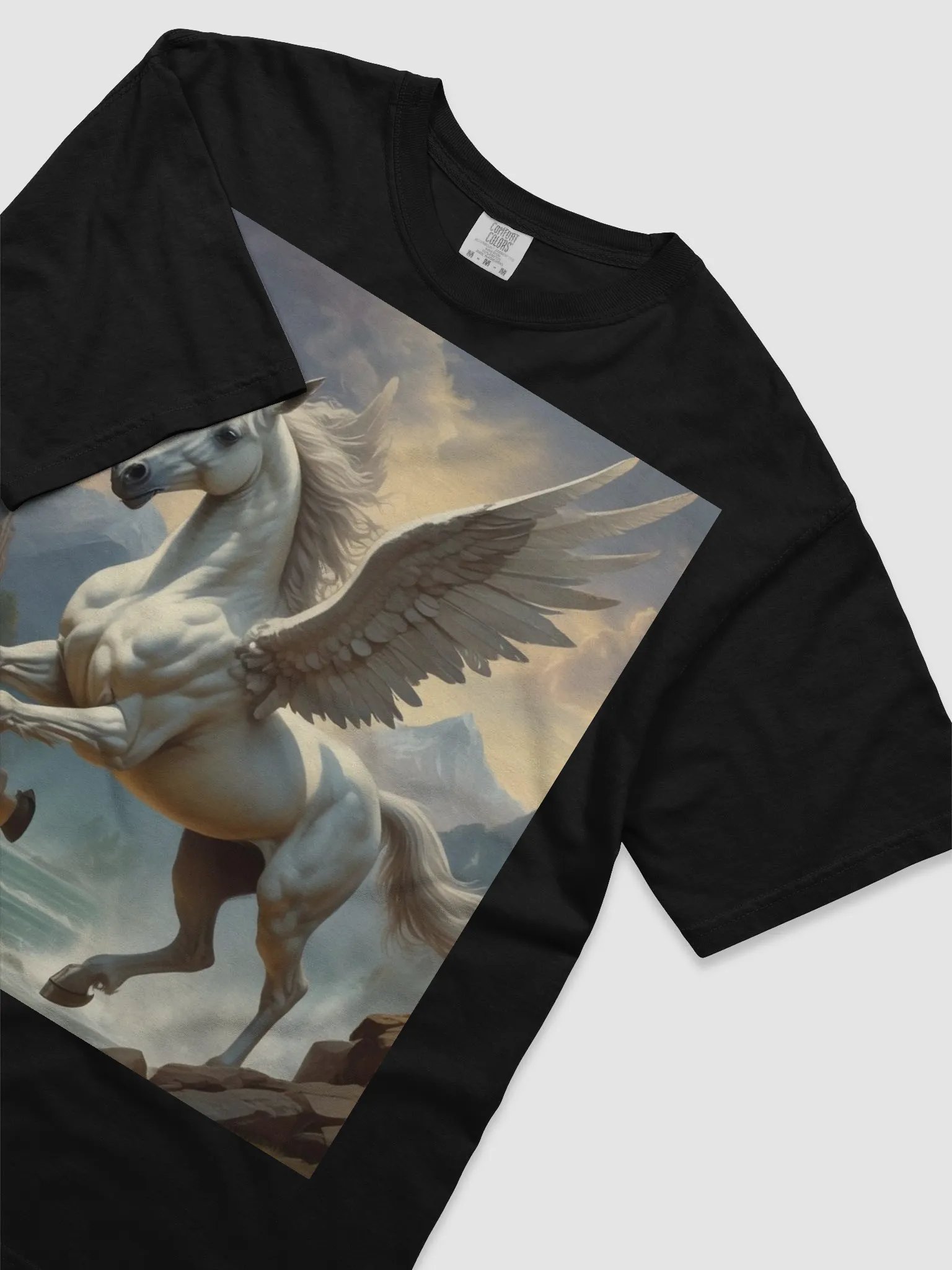 Pegasus product image (15)