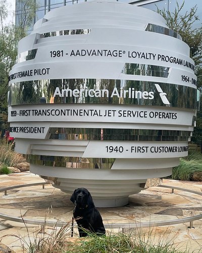 Fall festival @americanair #fallfestival #americanairlines #dogsofinstagram #k9unit  #bombdog