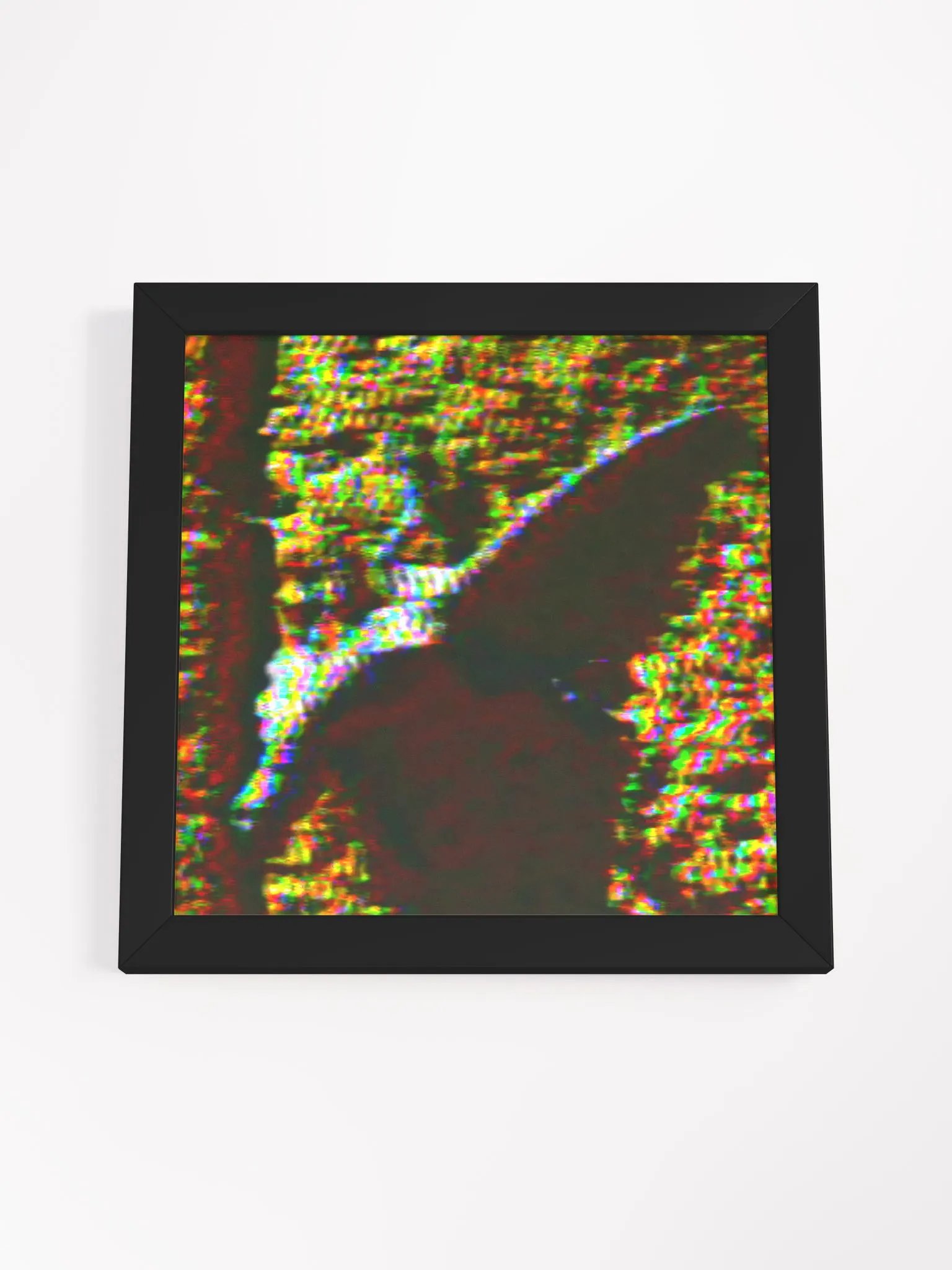 Spectre (Ornate Tree Lizard) product image (12)