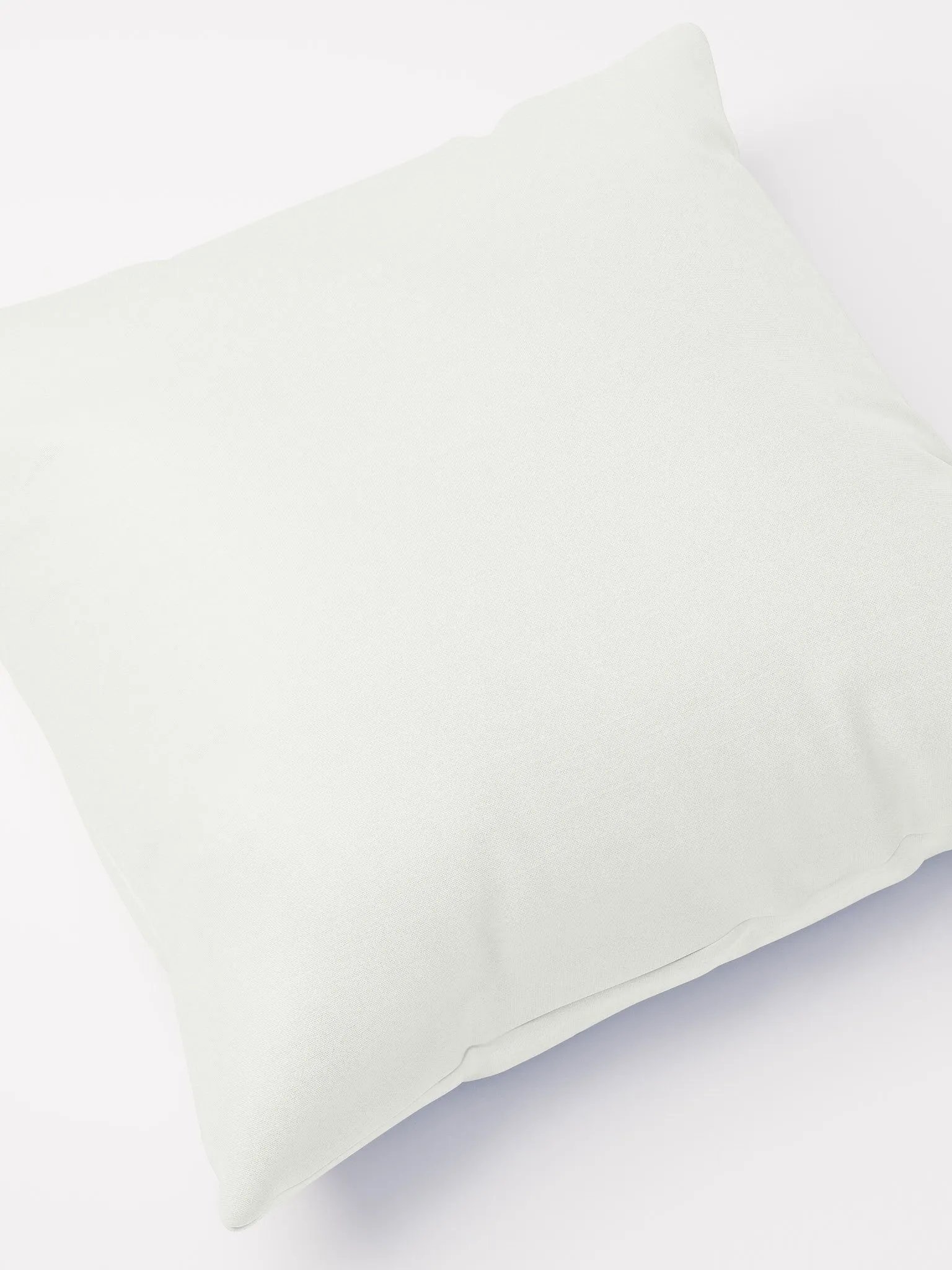 GPT Neutral Botanical Bliss: Accent Pillow product image (7)