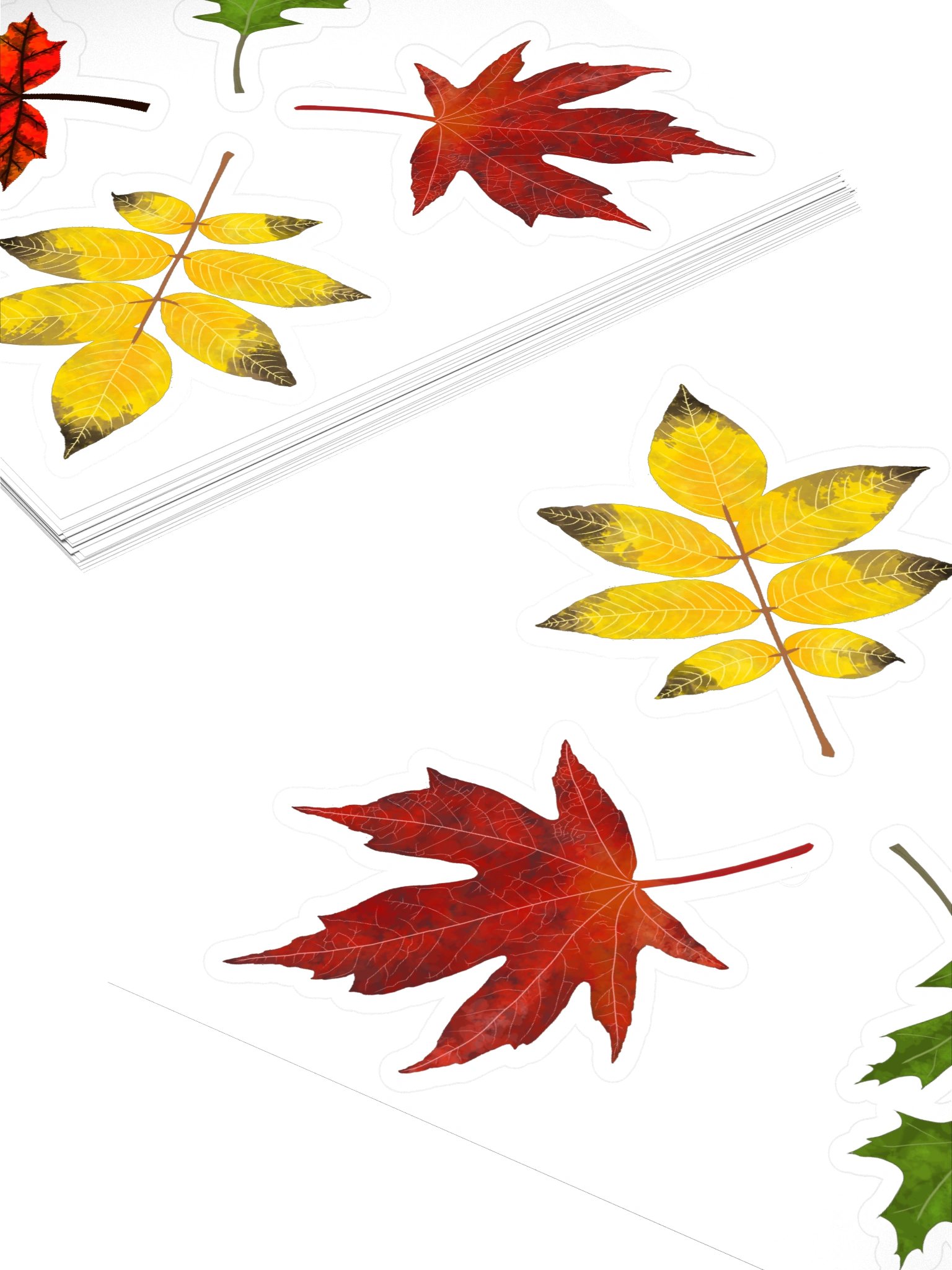 Fall Color Leaf Stickers product image (4)