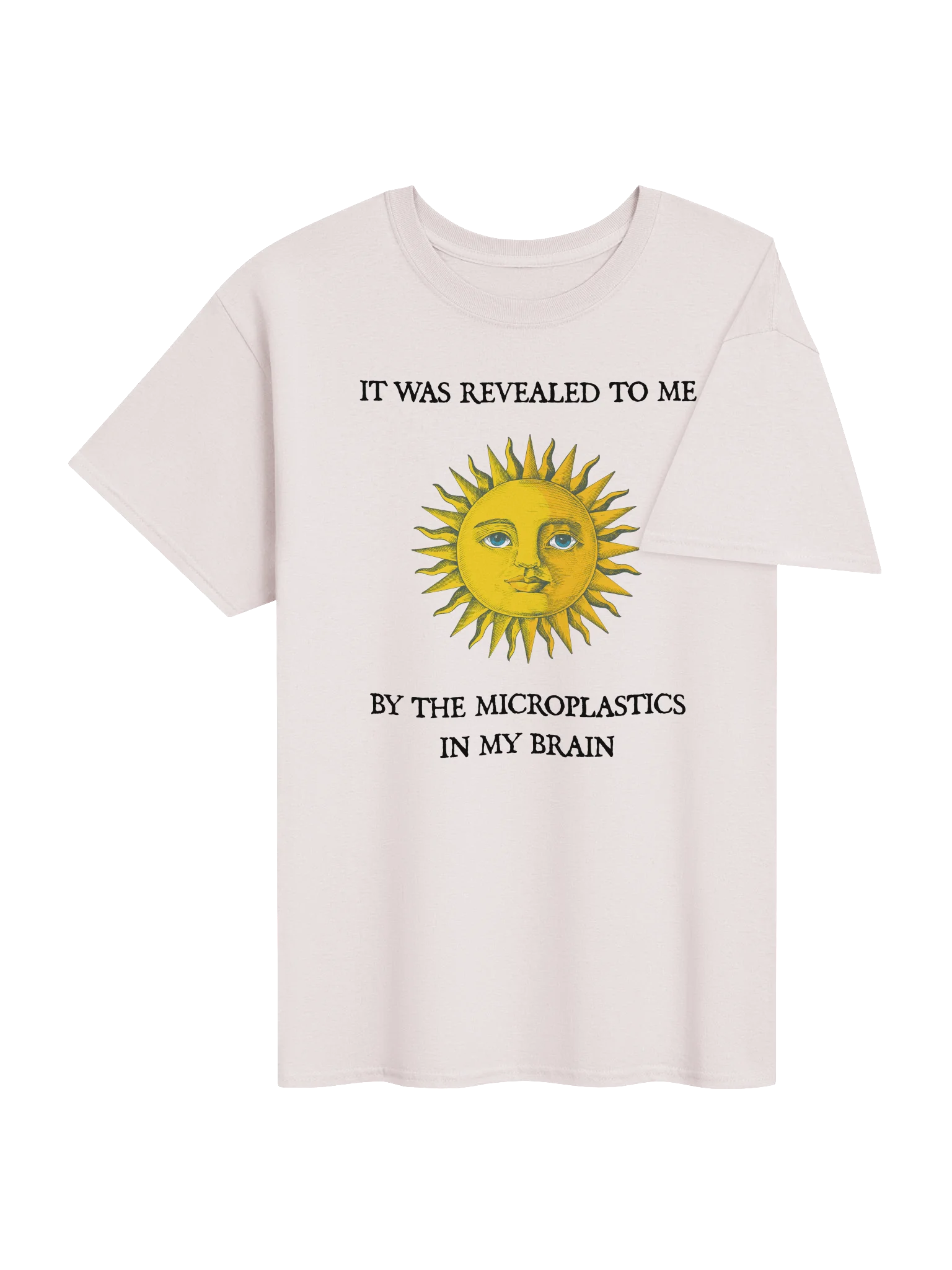 IT WAS REVEALED TO ME BY THE MICROPLASTICS IN MY BRAIN product image (84)