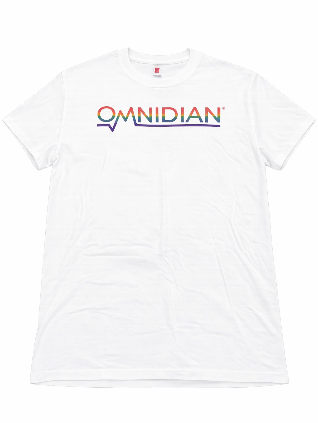 Omnidian - Pride Shirt 1 product image (1)