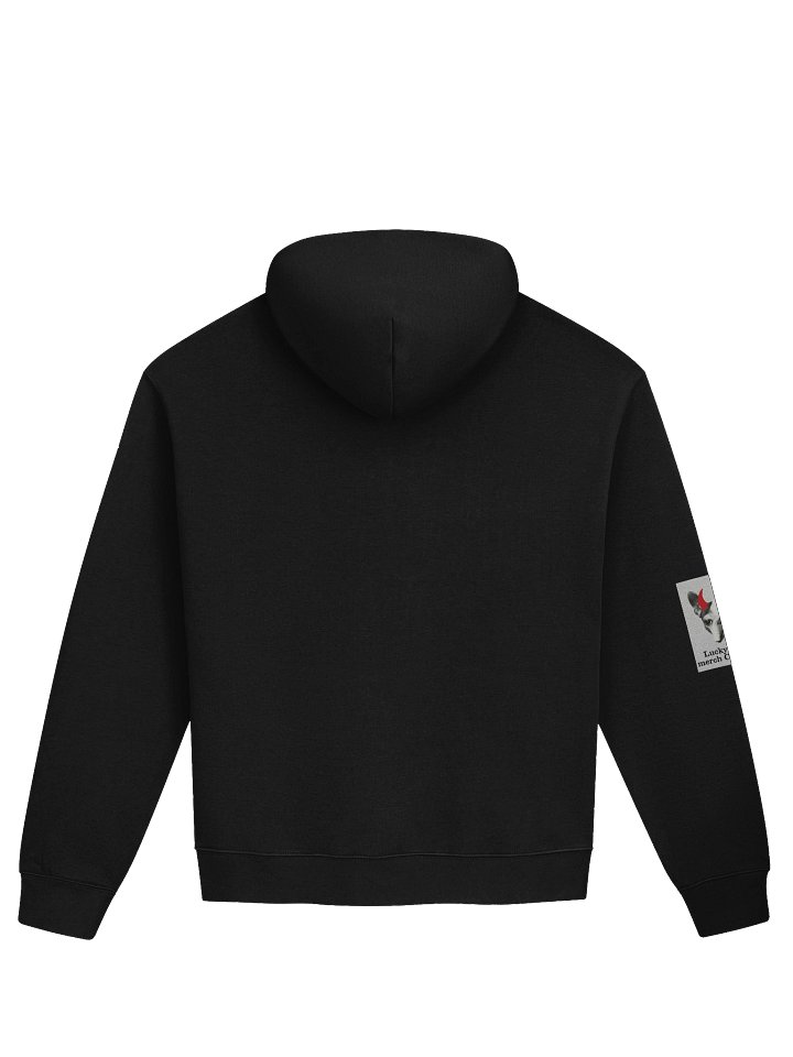 Anti Ptown Hoodie product image (2)