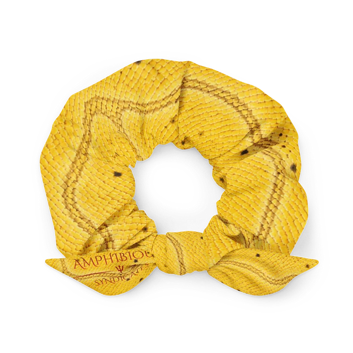 The Expensive Hair Tie ⭐ product image (1)