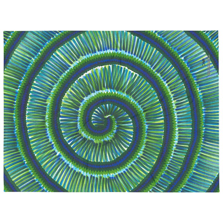 Green SWIRLS Blanket product image (2)