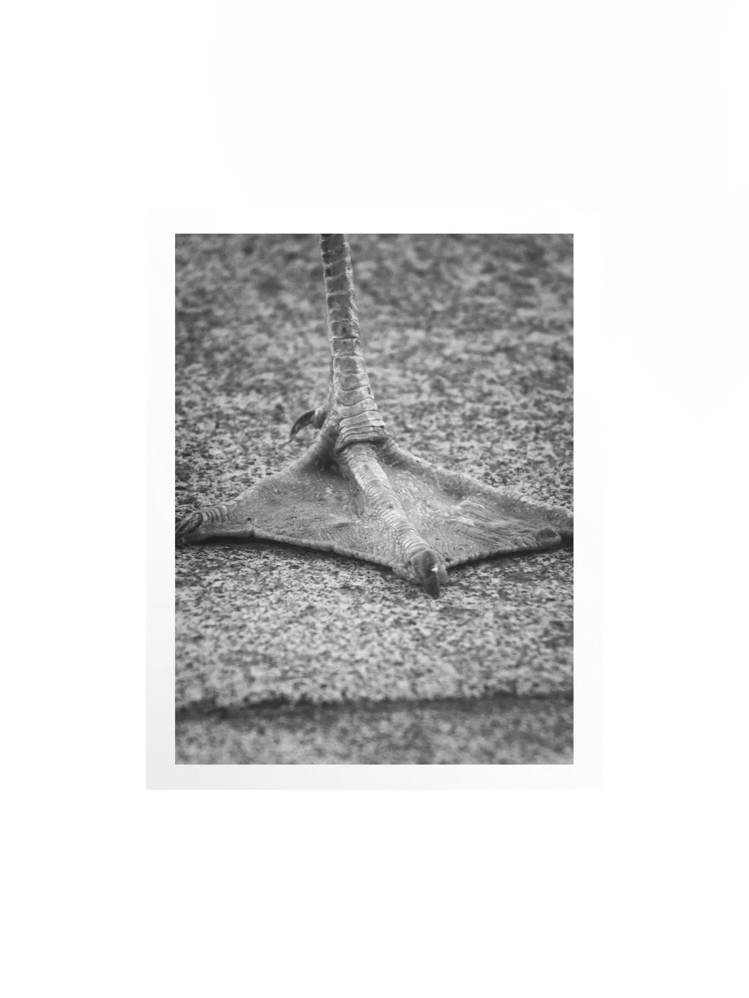 Artistic Print product image (1)