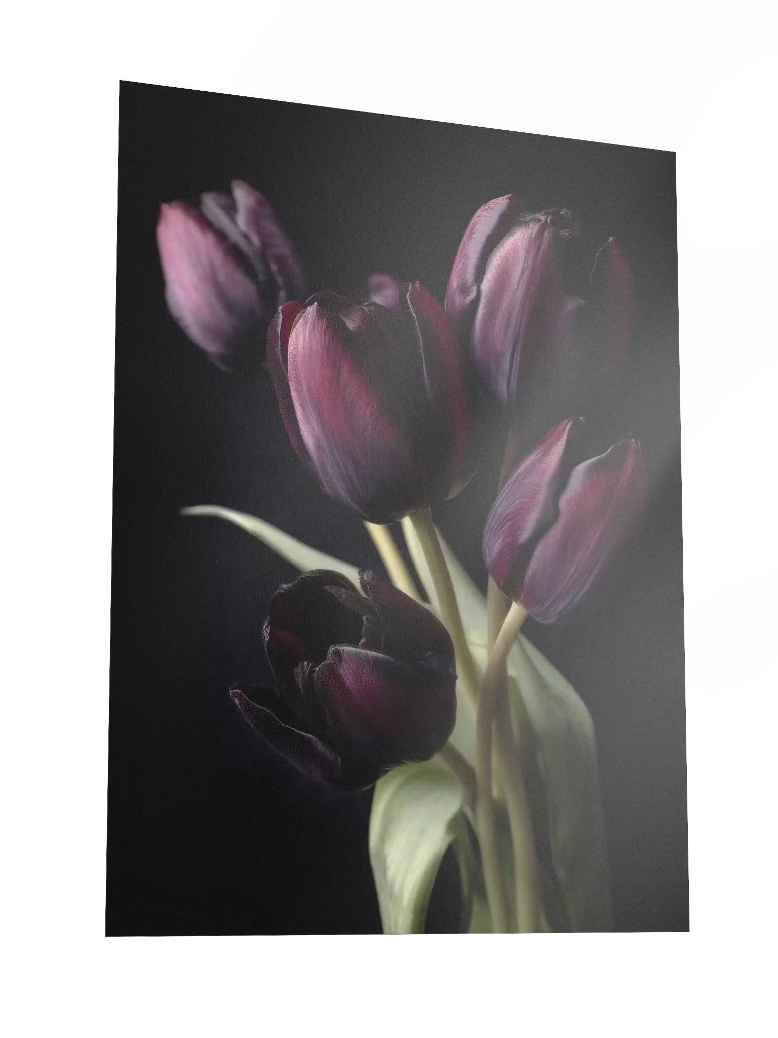 Tulips After Dusk I — Gathering in Shadow Fine Art Print product image (3)