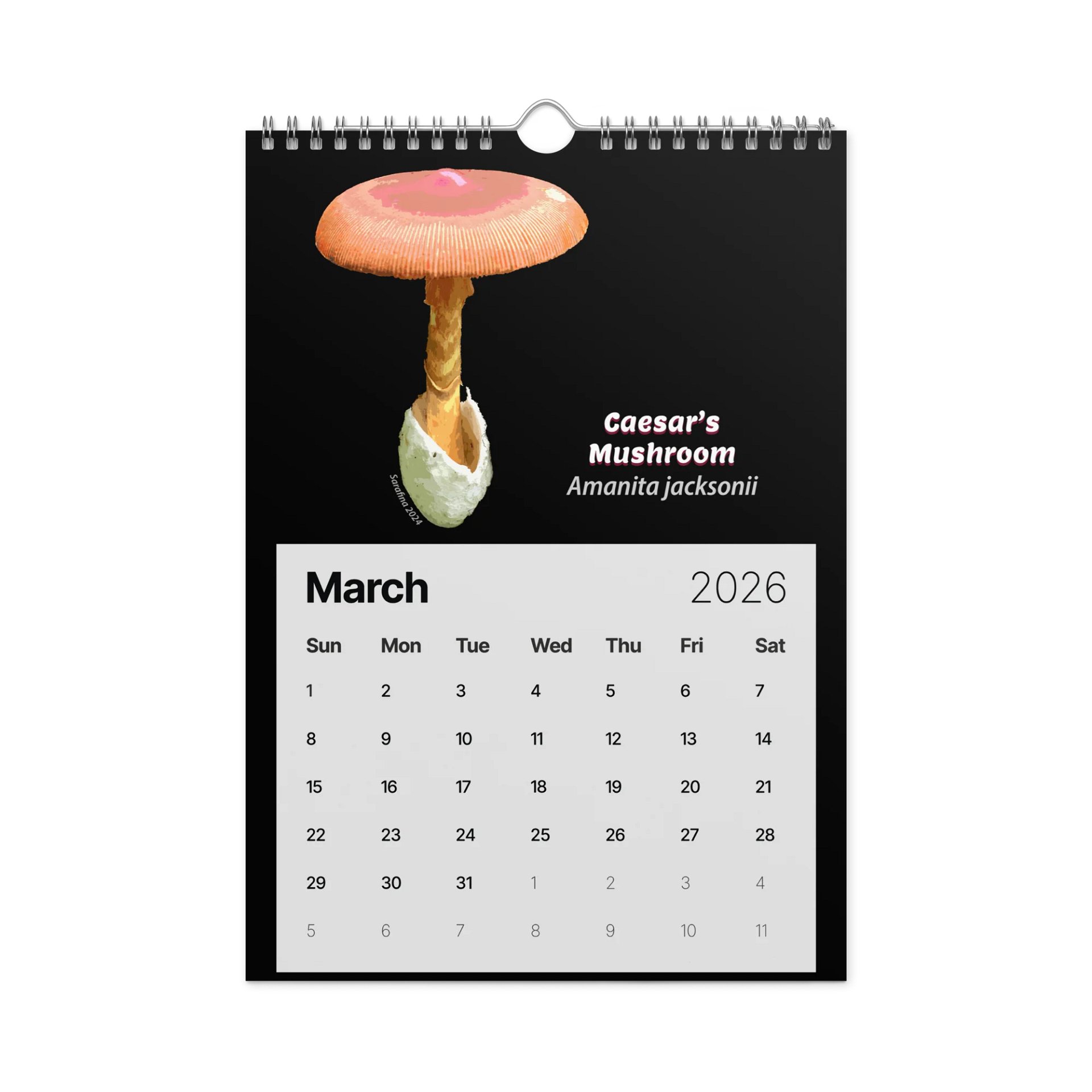 2026 Calendar (A4) product image (4)