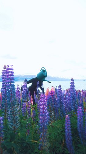 Lupin season is upon us in New Zealand
.
.
#weirdcore #fantasy #cursed #whimsical #nzphotographer #creativephotography #curse...