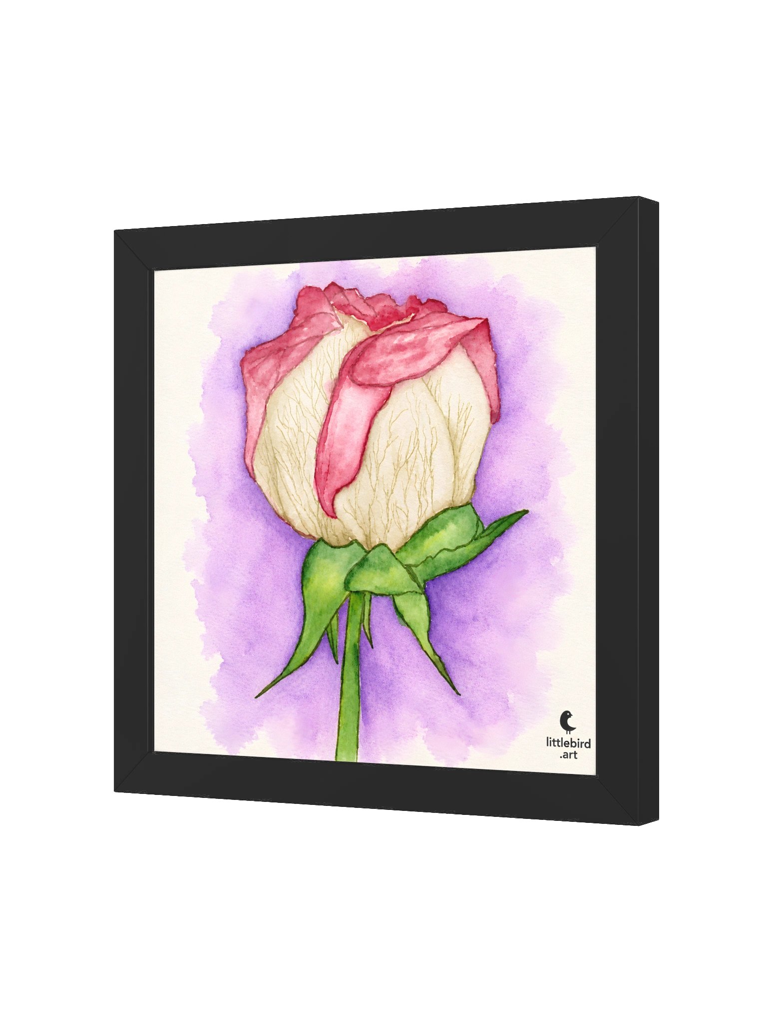 Pressed Memories product image (21)