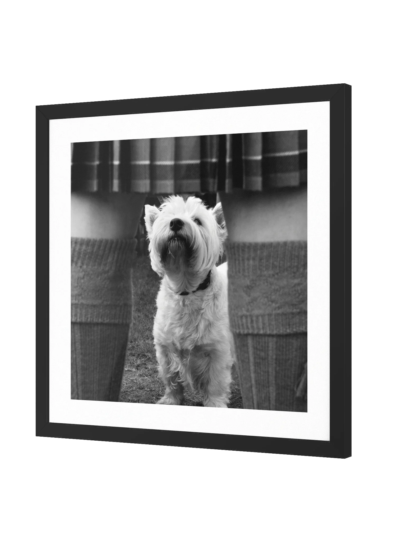Wee Jock Print 2006 Lonach Games Scotland product image (2)