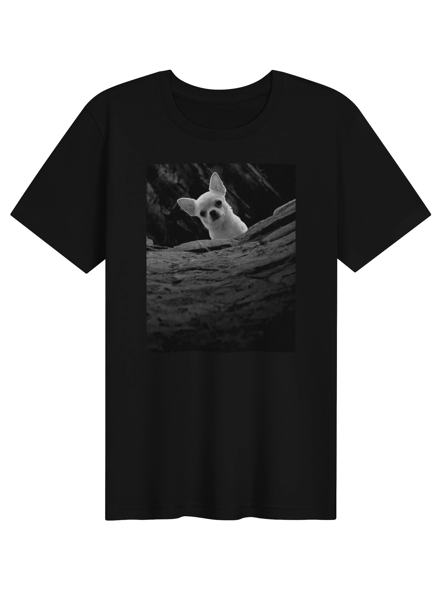 The Silence of Plouplou product image (1)