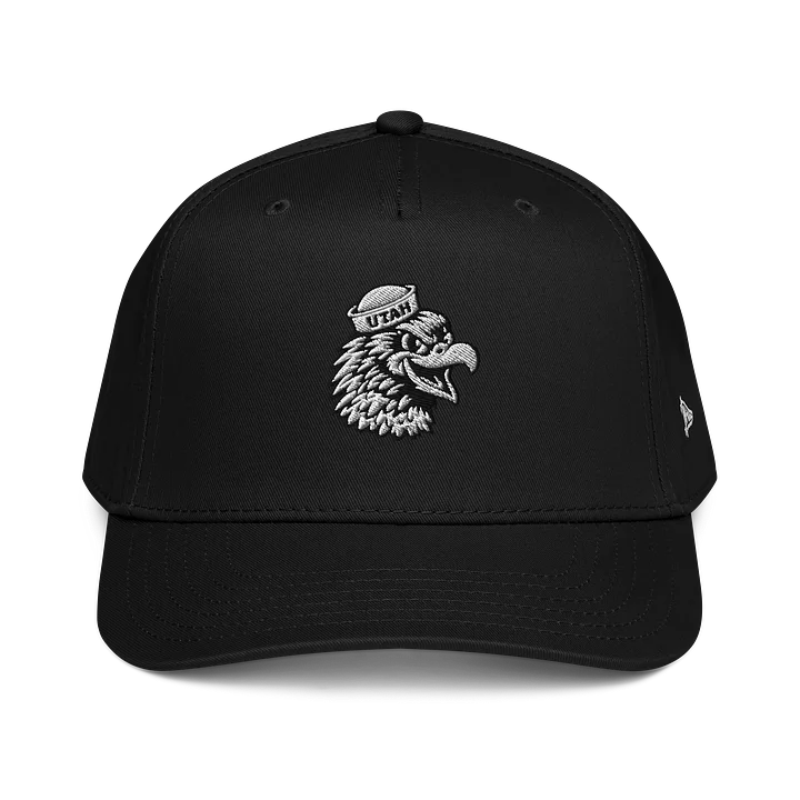 Collegiate Red Tailed Hawk Cap (Blackout) product image (1)