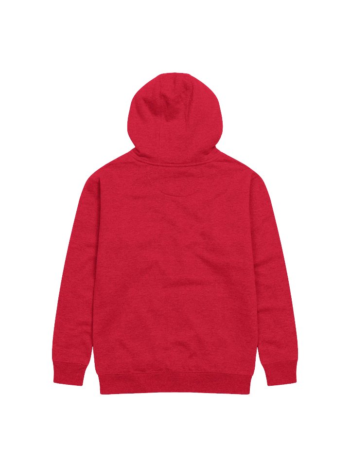 SMOKES est hoodie product image (16)