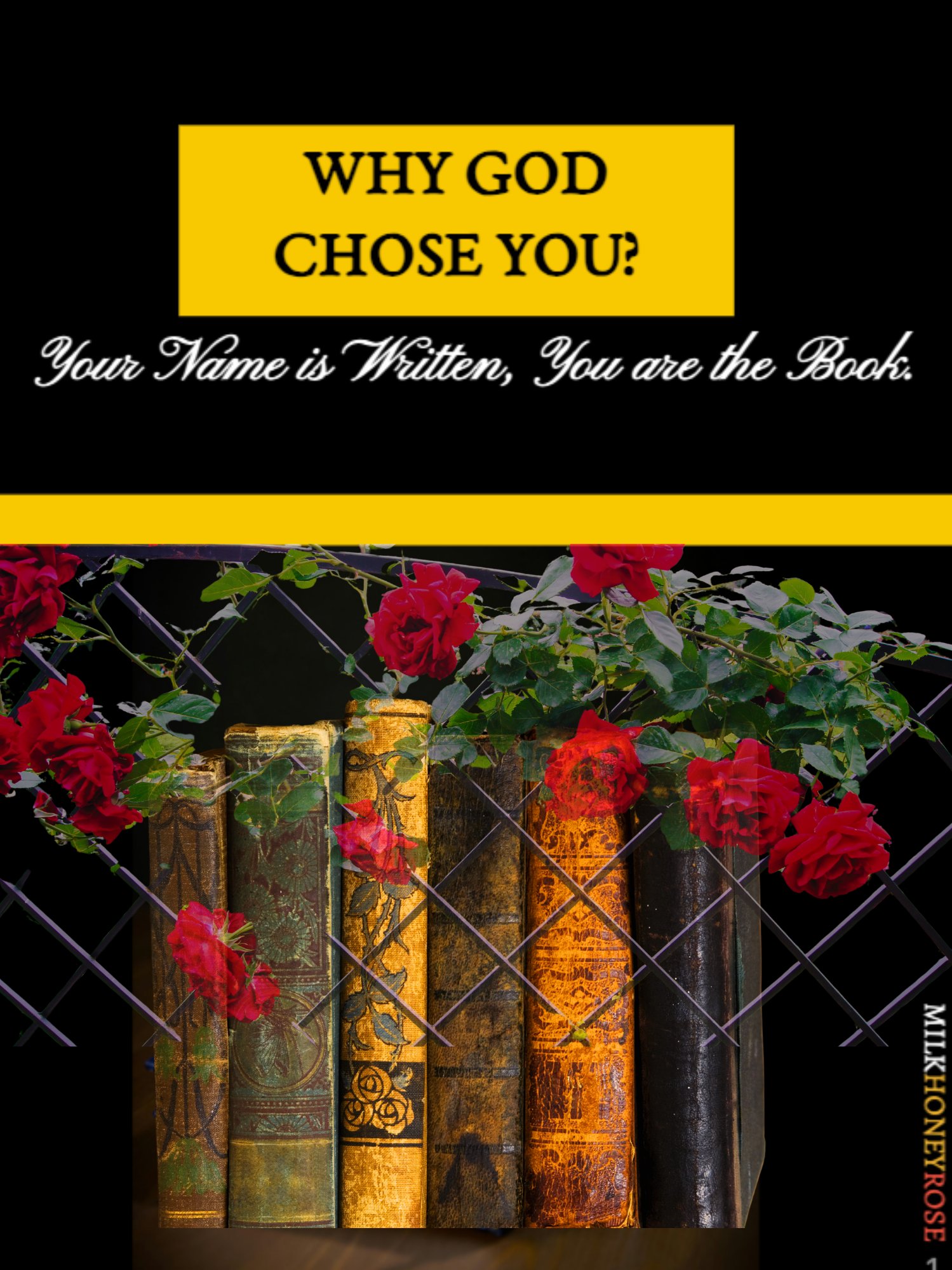 WHY GOD CHOSE YOU product image (1)