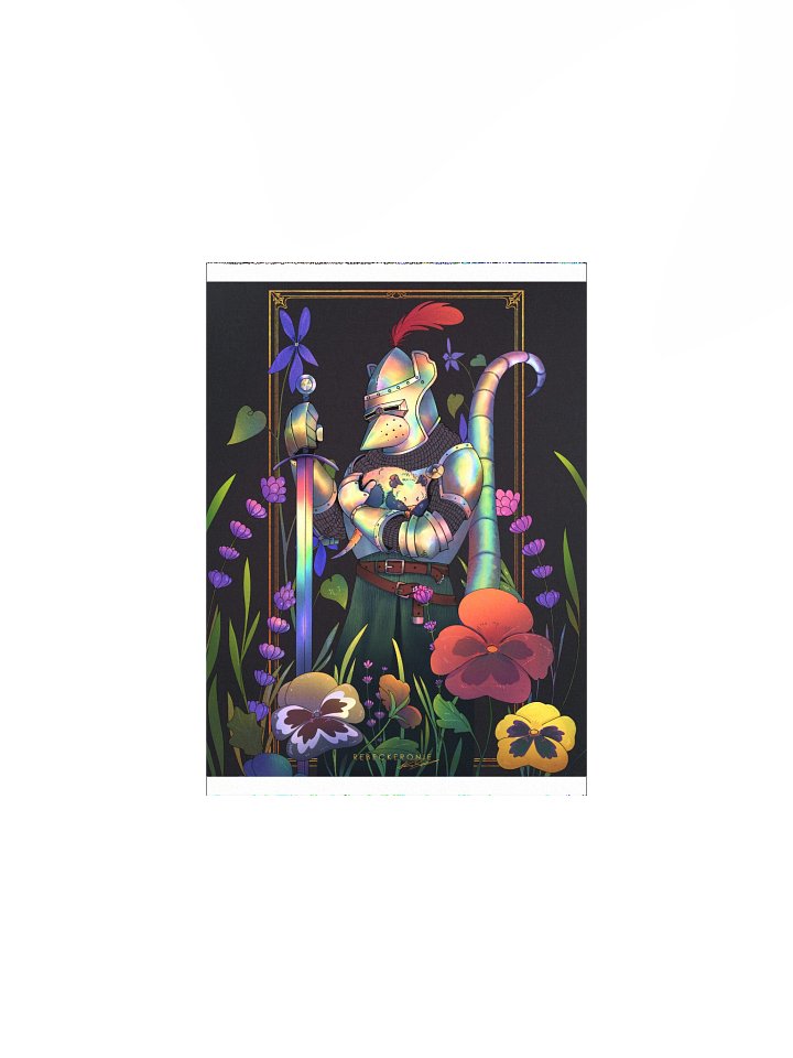 Pride Knight Print product image (1)
