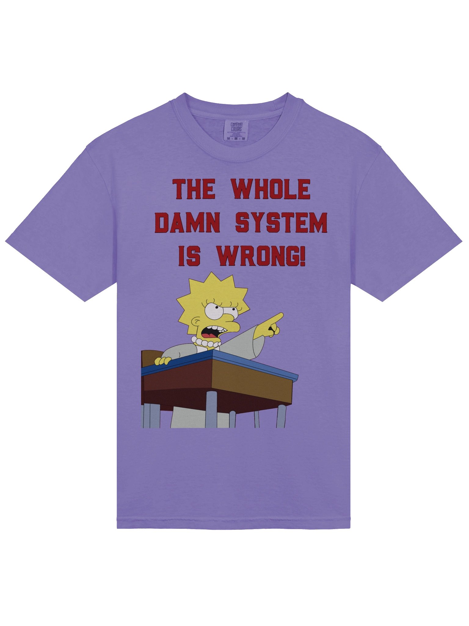 Whole Damn System is Wrong T-Shirt product image (12)