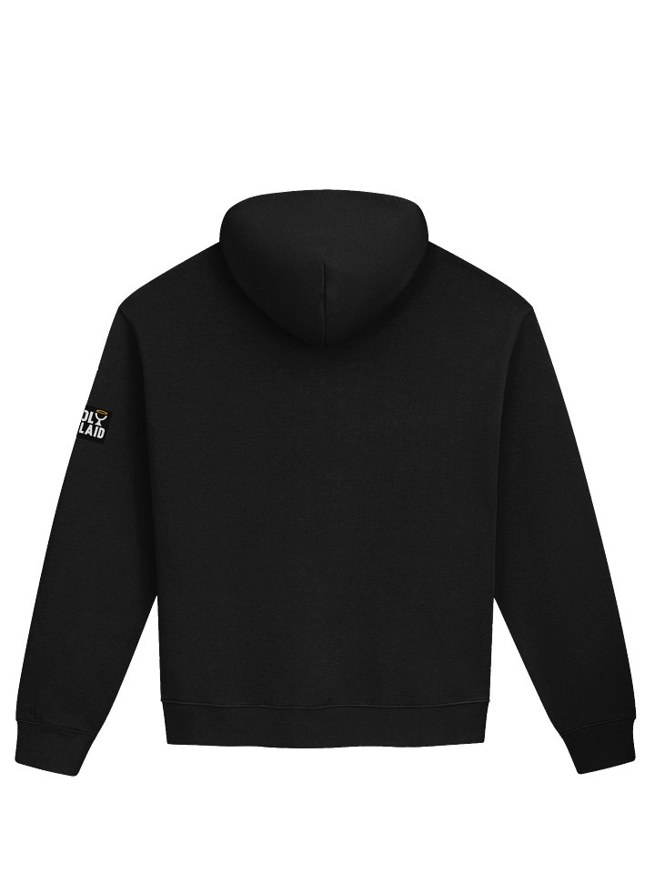 Truth Withstands Scrutiny - Unisex Hoodie | Official Holy Koolaid Merch product image (2)