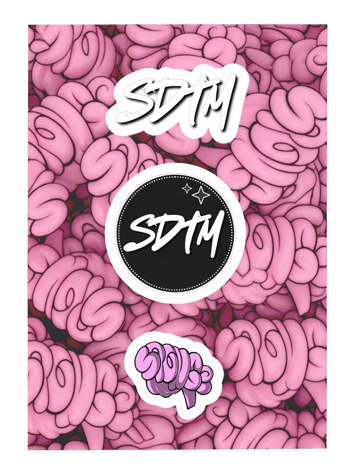 SDTM Sticker Sheet product image (1)
