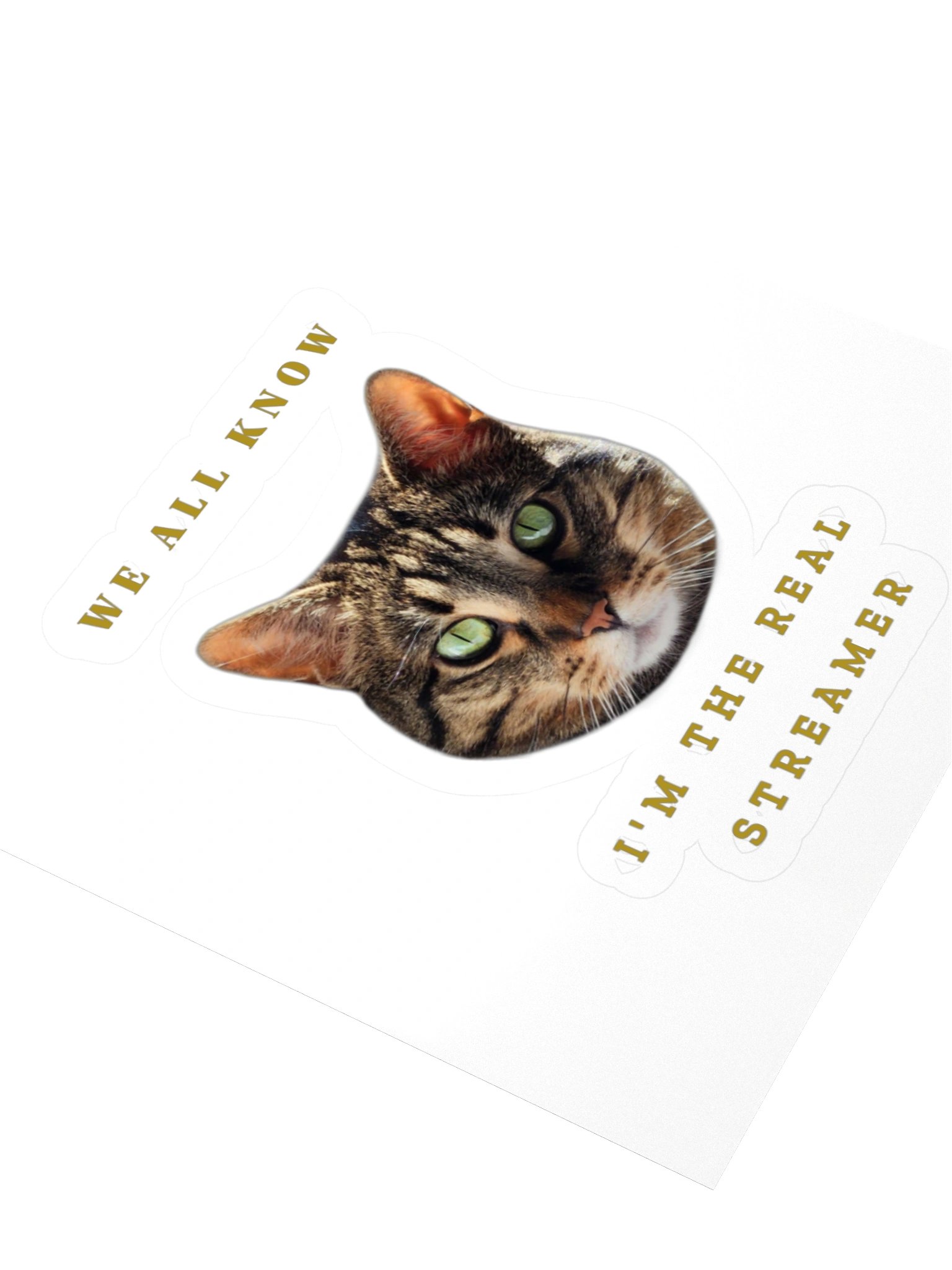 The Real Streamer Sticker product image (3)