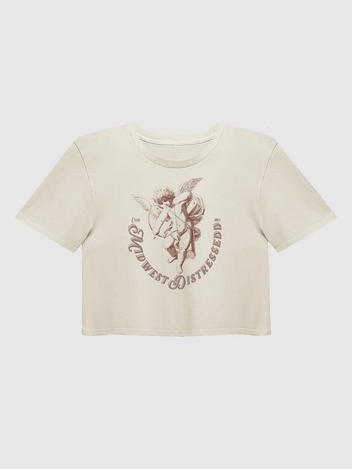 MidwestDistressedd Crop Tee product image (17)