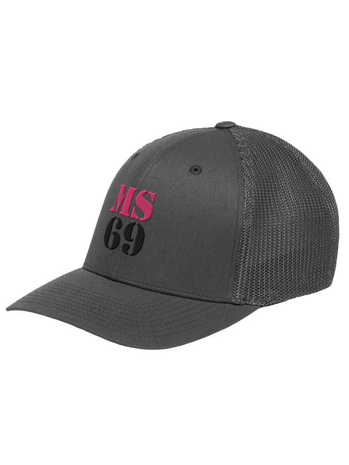 MS69 - Flexfit Trucker Hat Pink/Black product image (2)