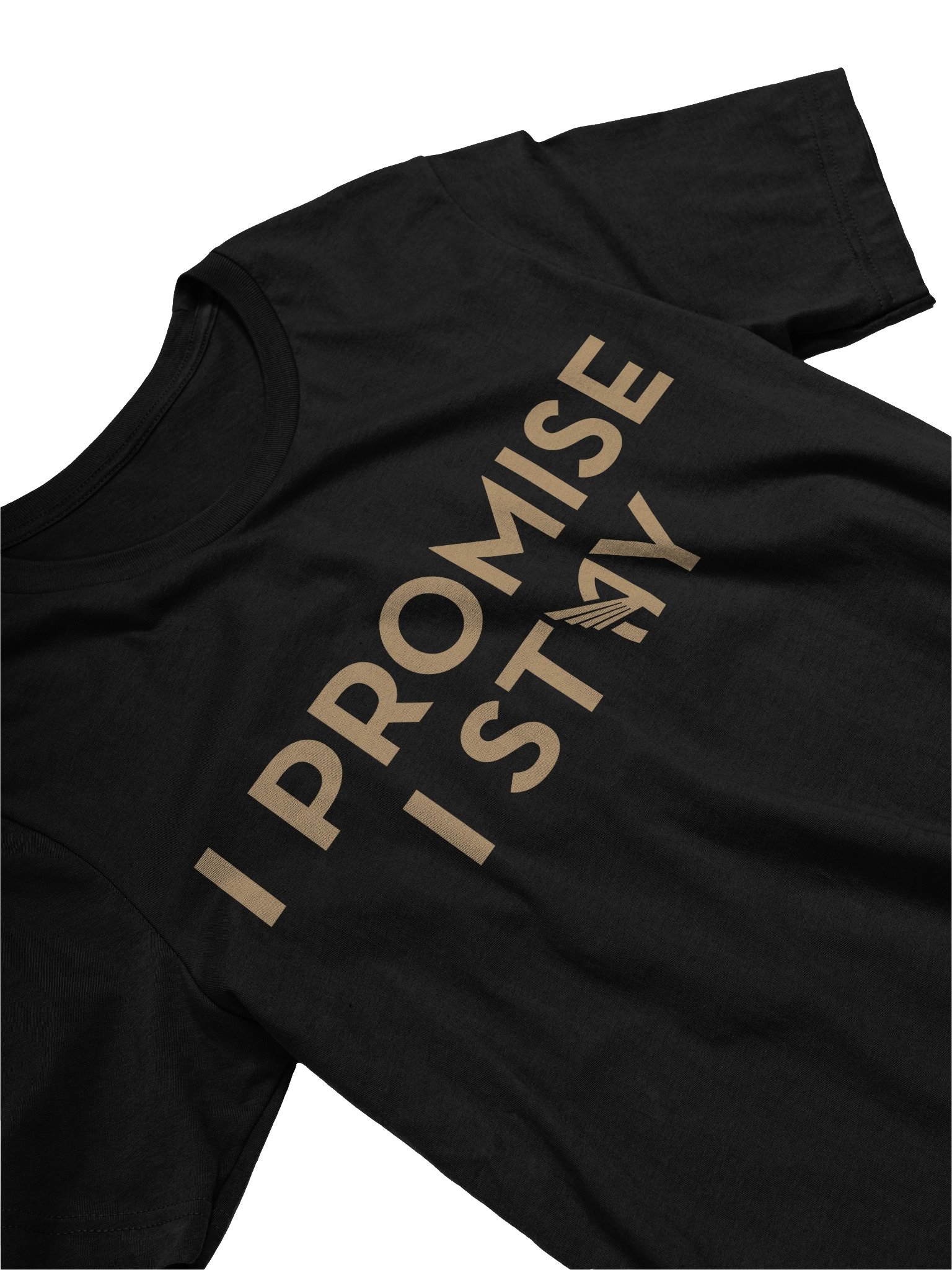 I Promise I Stay Tee product image (3)