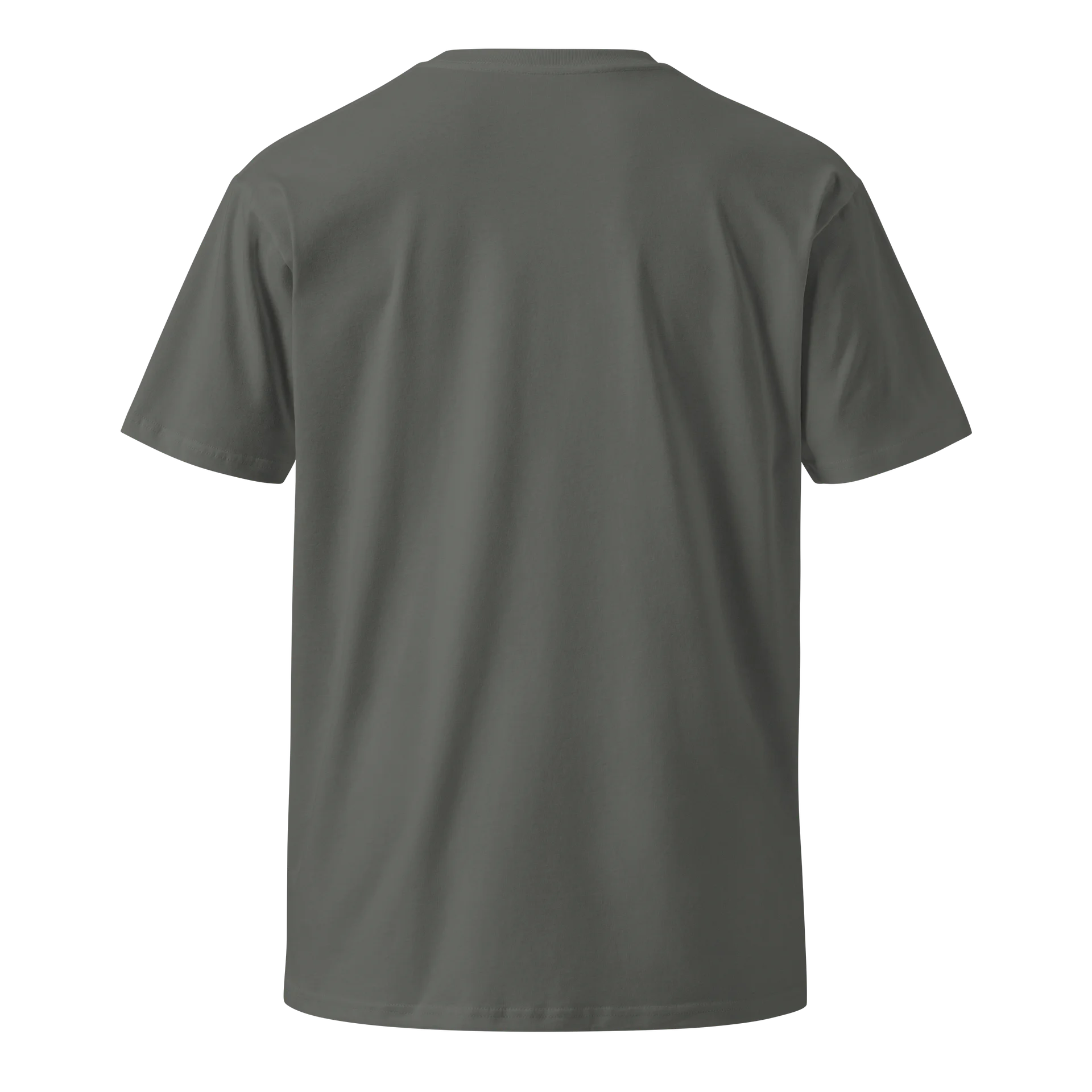 Basic T-Shirt product image (2)