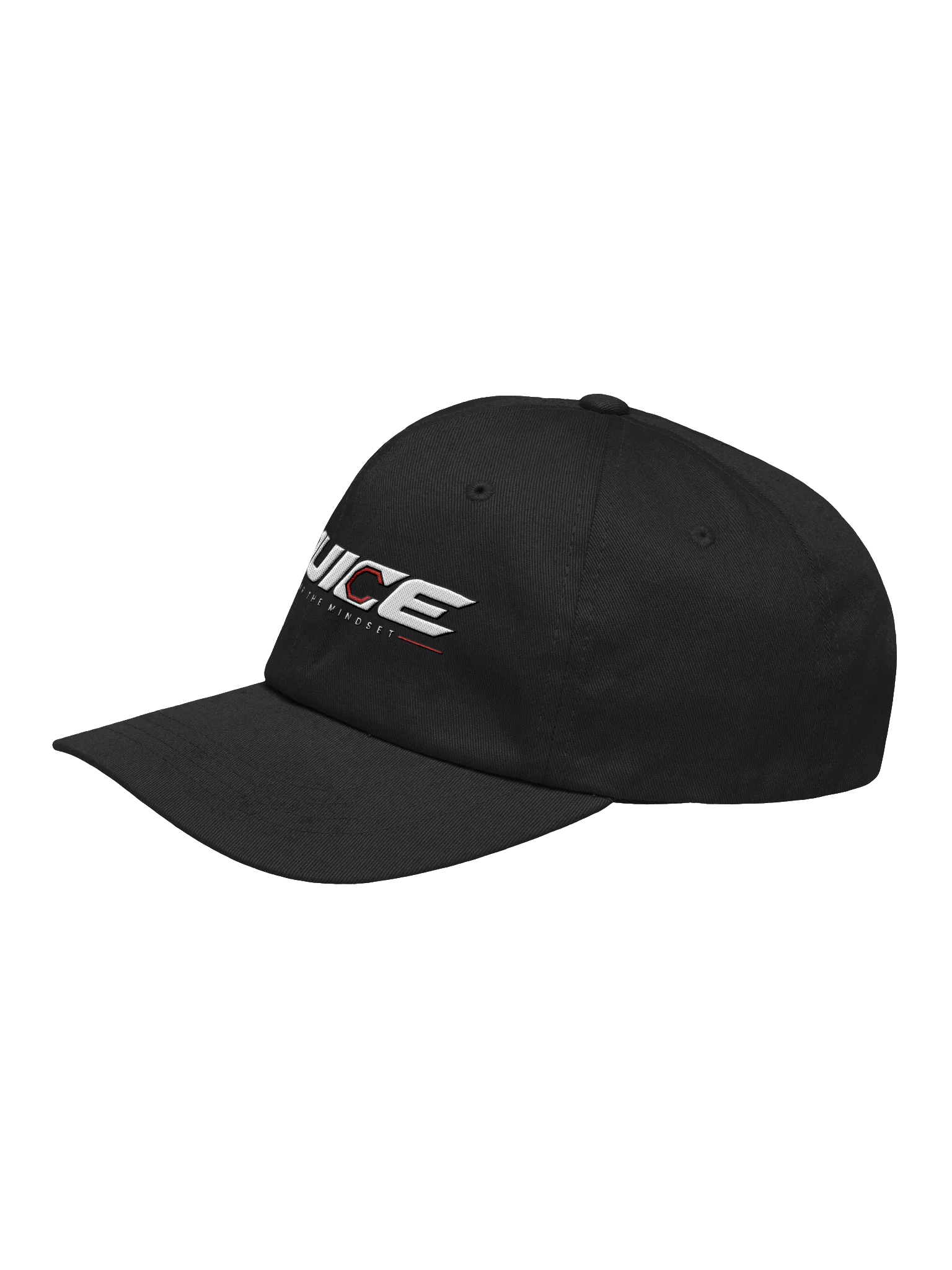 Juice Legacy Dad Hat product image (3)