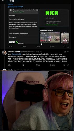 What Does 'Verified' Even Mean? #streamerlife #verified #kick #contentcreator