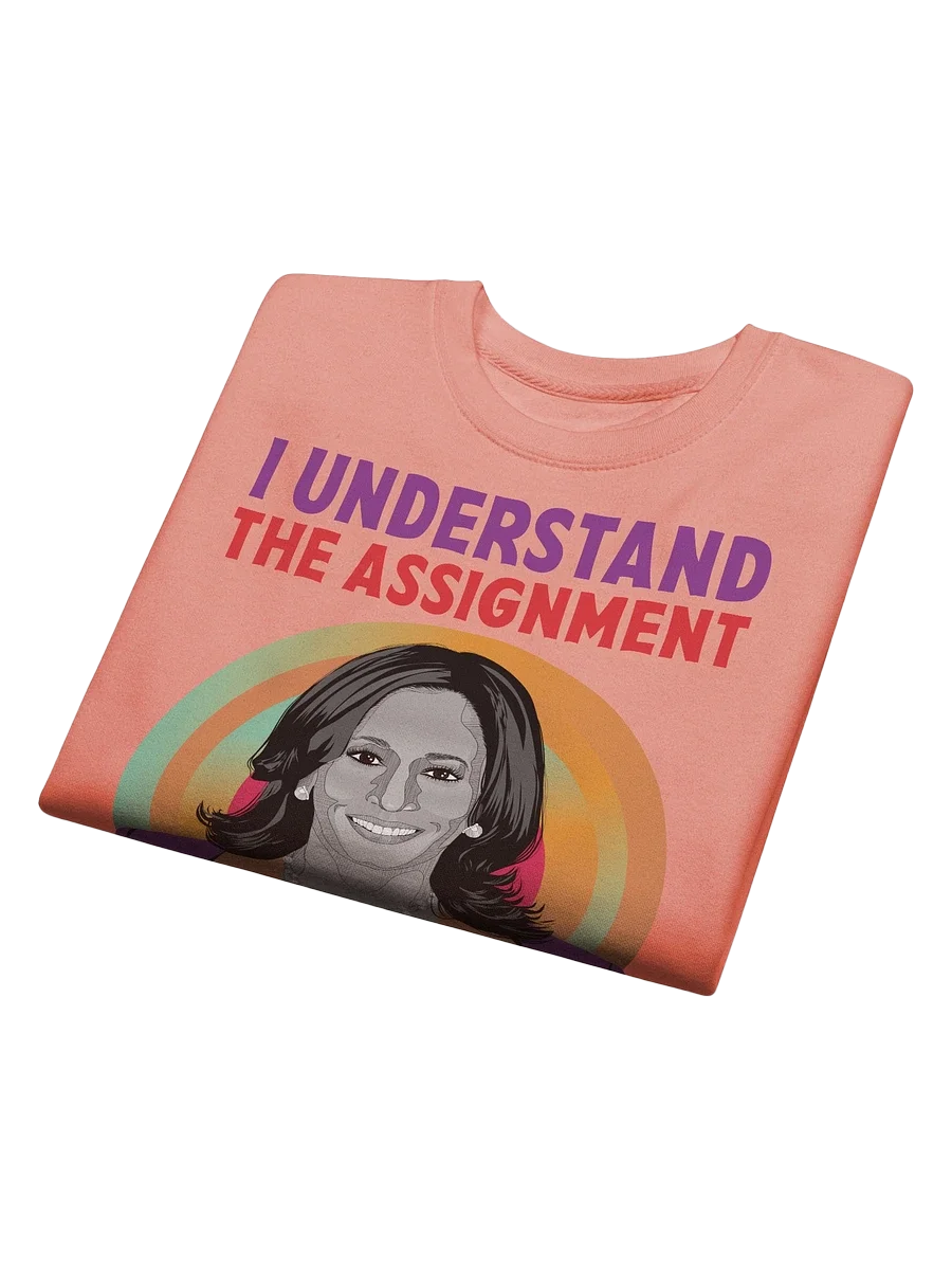 I Understand the Assignment Kamala Harris 2024 Election Day Sweatshirt product image (4)