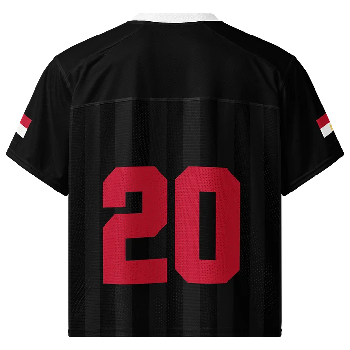 Egypt Boxy Sports Tee product image (2)