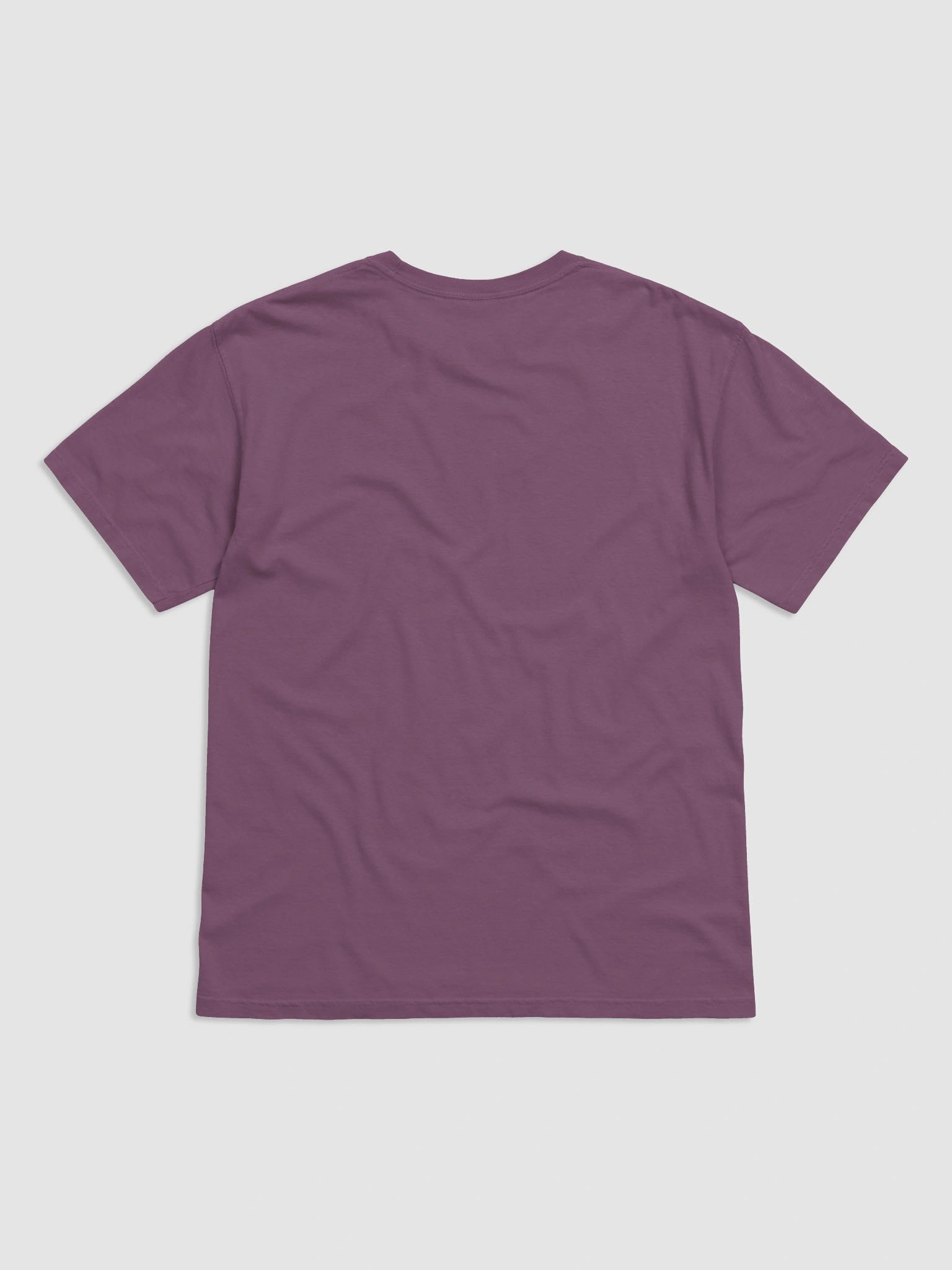 Tee-Shirt Verity and Chelsea avec Ecusson product image (2)