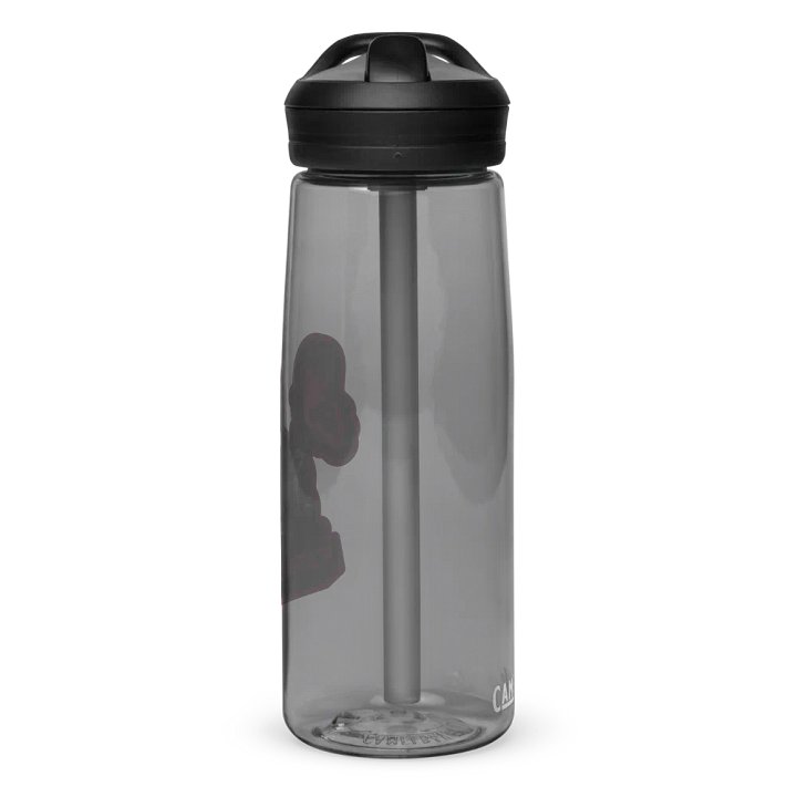 Fatal Fiend waterbottle product image (2)