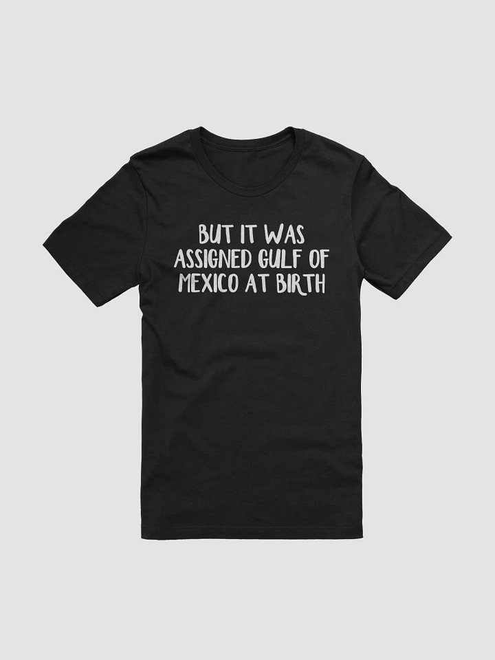 But It Was Assigned Gulf Of Mexico At Birth Shirt product image (2)
