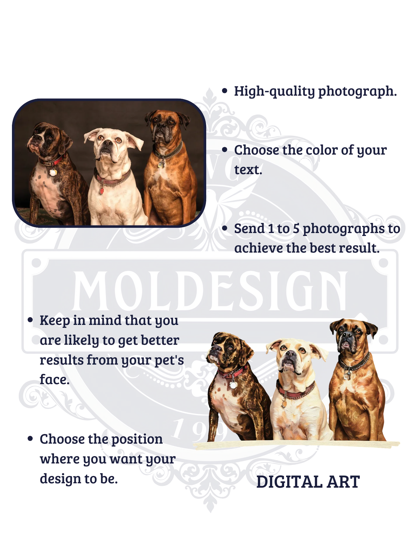 GROUP CUSTOM PET DESIGNS! / T-SHIRT WITH PERSONALIZED NAME / DIGITAL ART III product image (5)