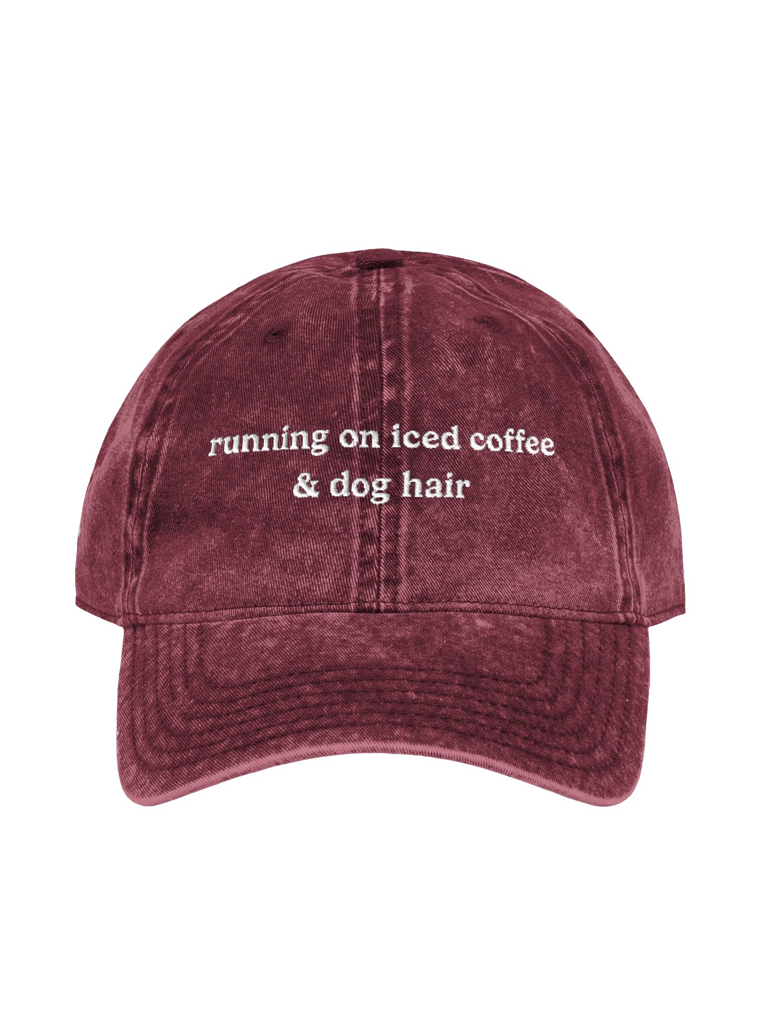 Running On Iced Coffee & Dog Hair Cap product image (2)
