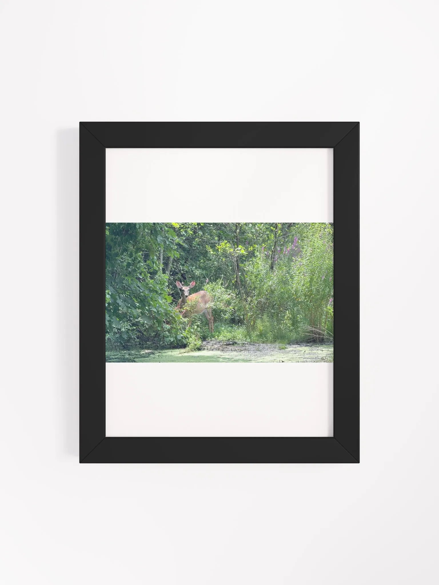 Deer In The Wild print product image (34)