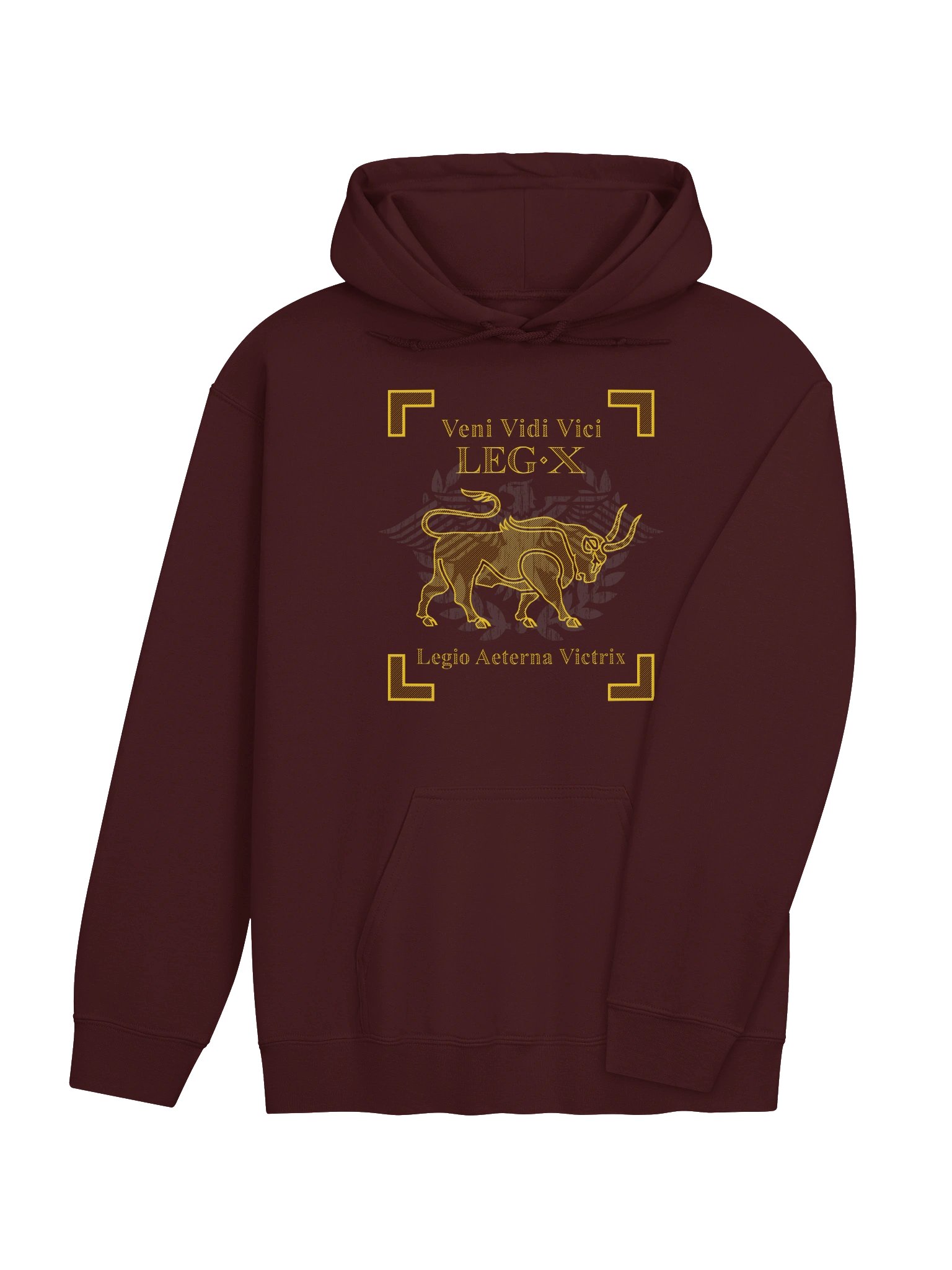 Legion X - veni vidi vici - Hoodie product image (4)