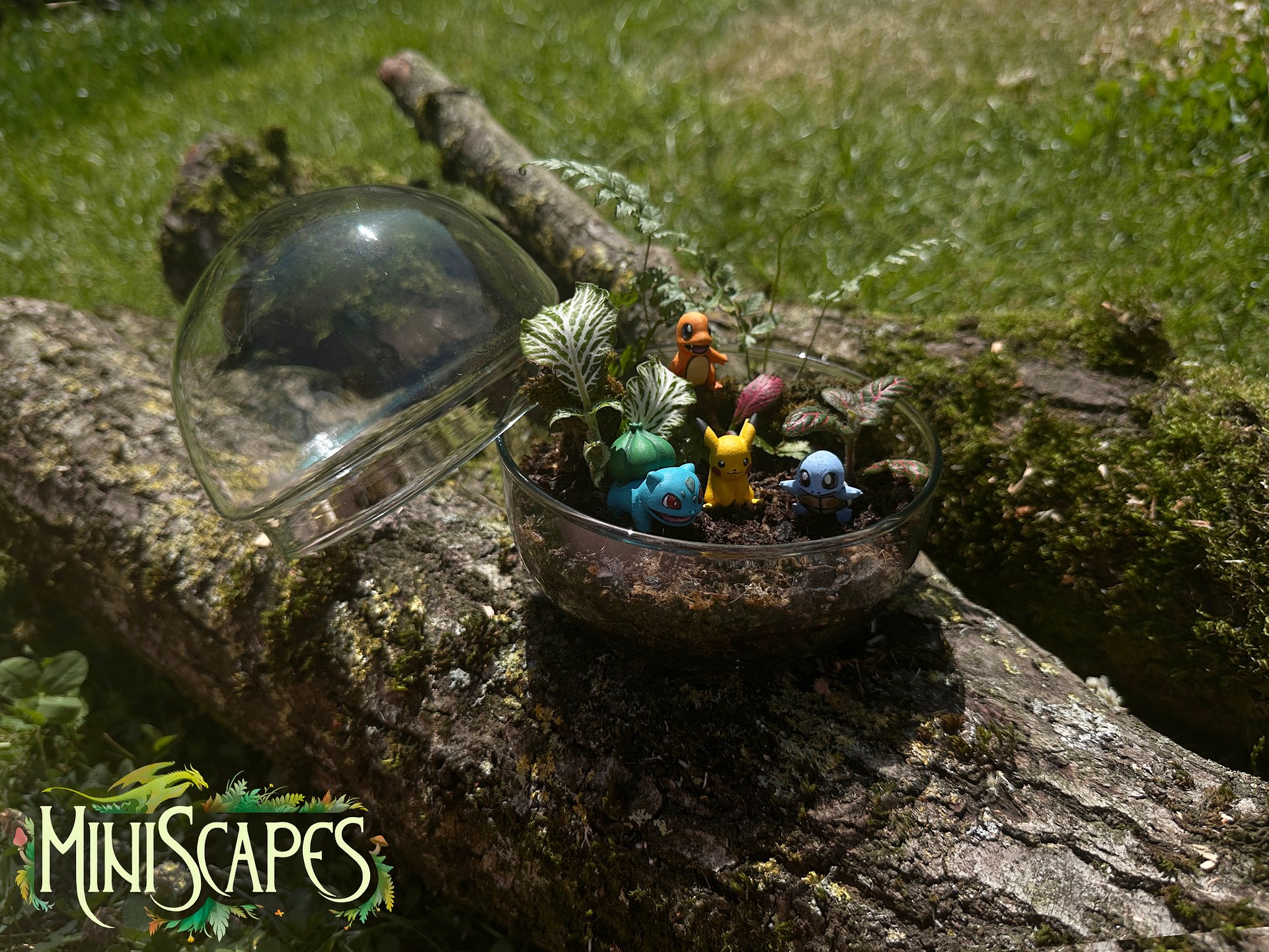 Mediumscape - Poke - The Original Starters product image (3)
