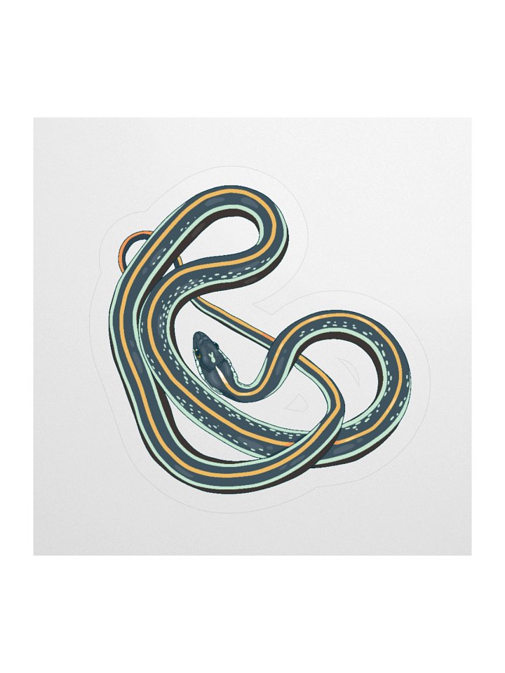 Western Ribbonsnake - Thamnophis proximus proximus Sticker product image (2)