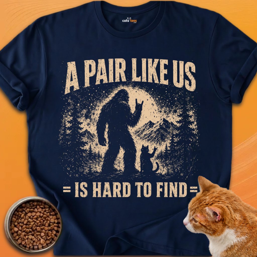 A Pair Like Us product image (10)