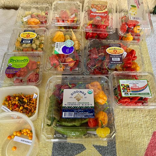 Cat picked these today. Gotta run now, but in the morning I'll arrange them on the dining room table and snap a photo so you ...